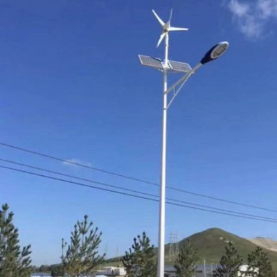 7米太陽能風光互補路燈價格 民族特色路燈 6米太陽能風光互補路燈 太陽能風光互補路燈廠家