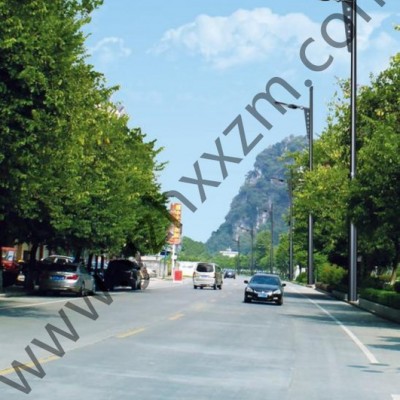 揚州旭星LED路燈 led道路照明燈具 太陽能路燈 單臂燈 雙臂燈