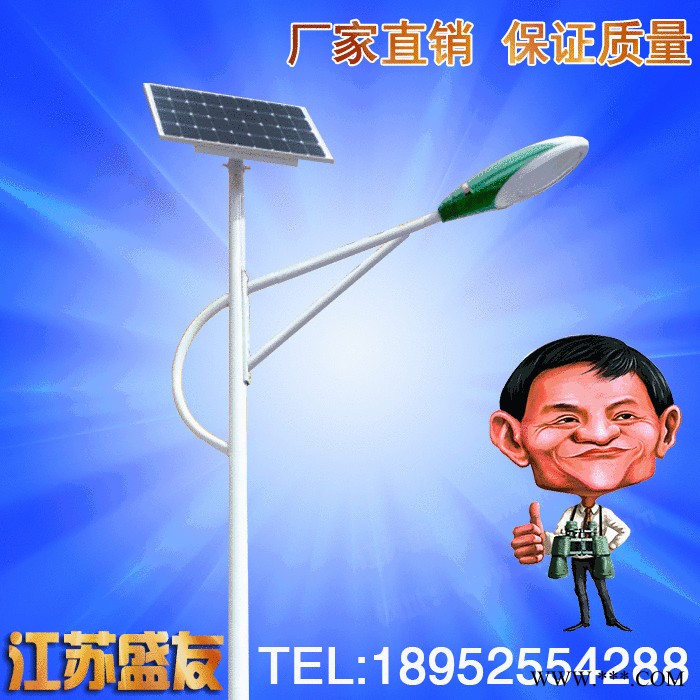 盛友照明 4米5米6米 新農(nóng)村 led太陽能路燈 戶外高桿道路燈庭院燈