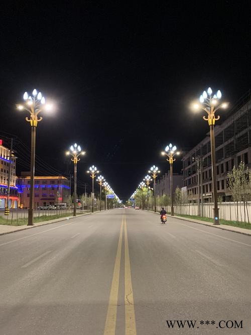 勝隆偉業(yè)太陽能路燈供應(yīng)