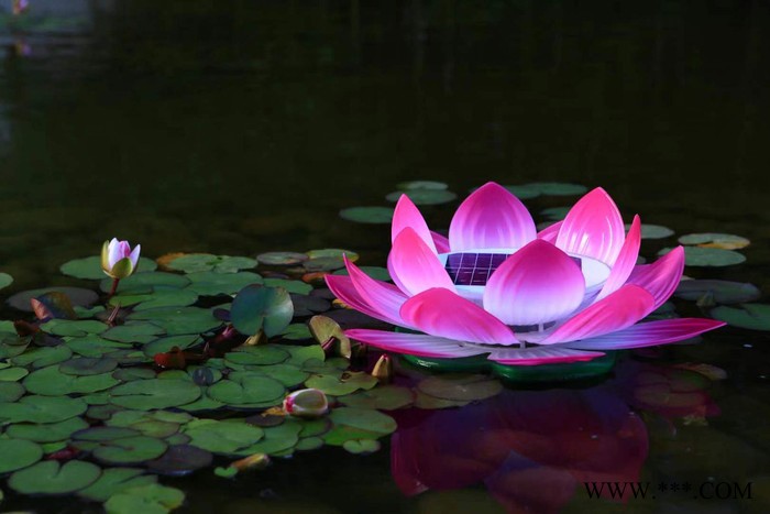 太陽能花燈LED花燈太陽能形花燈LED花形燈太陽能景觀燈