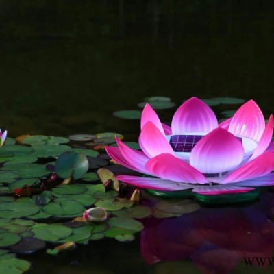 太陽能花燈LED花燈太陽能形花燈LED花形燈太陽能景觀燈