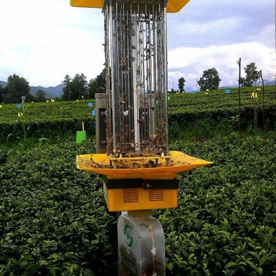 供應SL-D1340/D綠色環保殺蟲燈、太陽能殺蟲燈