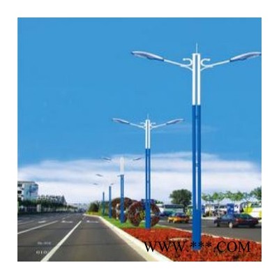 太陽能裝飾燈 太陽能裝飾燈 揚州路燈批發 揚州路燈制造廠家