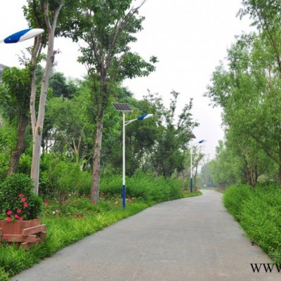 專業(yè)的太陽(yáng)能路燈廠