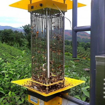 供應SL-D1320/D高效農業殺蟲燈、太陽能誘蟲燈