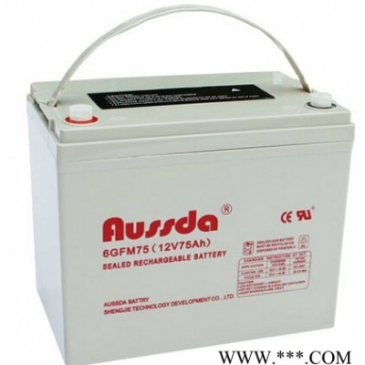 奧斯達蓄電池6GFM75 奧斯達蓄電池12V75AH 12V75AH太陽能路燈電池 消防應急電池