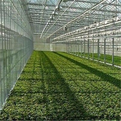 森農(nóng)園農(nóng)業(yè)溫室咨詢廠家 森農(nóng)園陽光溫室 光伏大棚 光伏溫室大棚 光伏板大棚 光伏板溫室廠家