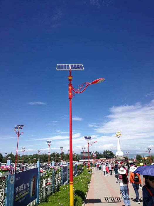 大妙光047太陽能led路燈,LED太陽能路燈廠家,太陽能庭院燈,太陽能路燈桿,揚州太陽能路燈