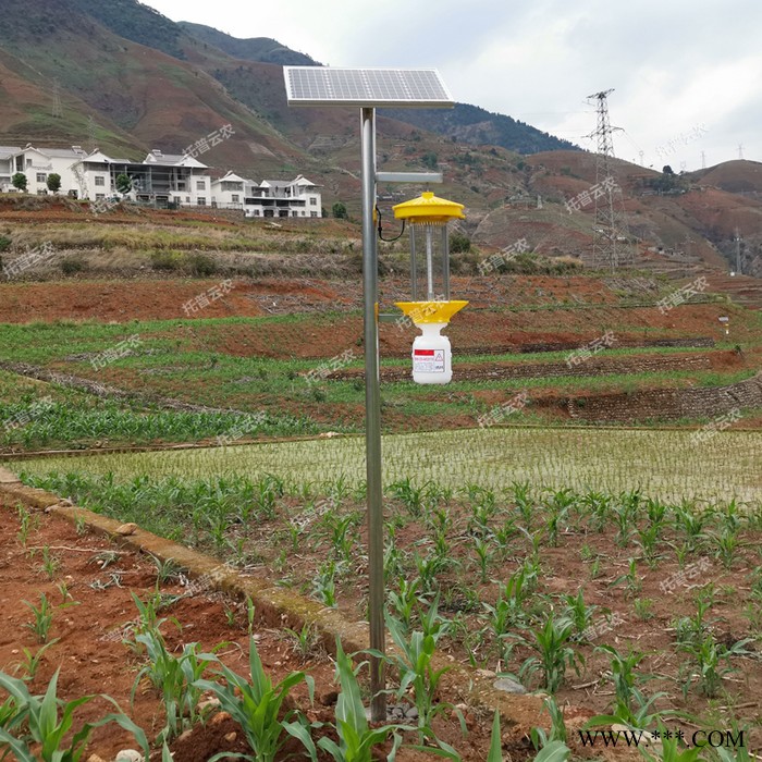 戶外殺蟲(chóng)燈 led太陽(yáng)能殺蟲(chóng)燈 報(bào)價(jià) 托普云農(nóng)