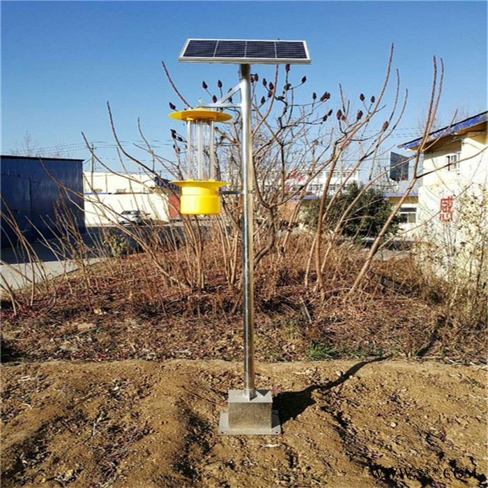 林芝室外誘蟲燈 桃樹殺蟲燈 光伏殺蟲燈