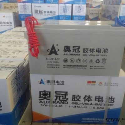 奧冠膠體蓄電池6-GFMJ-65 12V65AH光伏發(fā)電電池 太陽(yáng)能專(zhuān)用電池 通訊電源電池 UPS電池 EPS直流屏電池