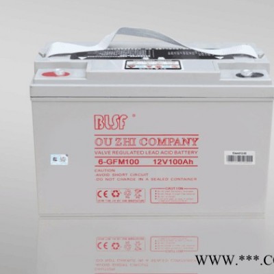 BLSF保利時蓄電池6-GFM65寶利時12V65AH閥控密封鉛酸蓄電池保利時機房ups免維護蓄電池太陽能電池