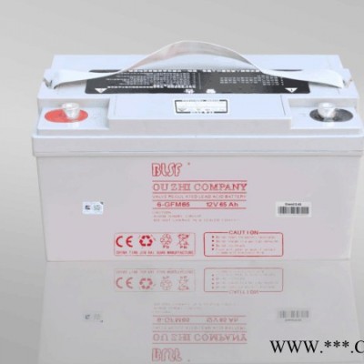 BLSF保利時蓄電池6-GFM120寶利時12V120AH閥控密封鉛酸蓄電池保利時機房ups免維護蓄電池太陽能電池