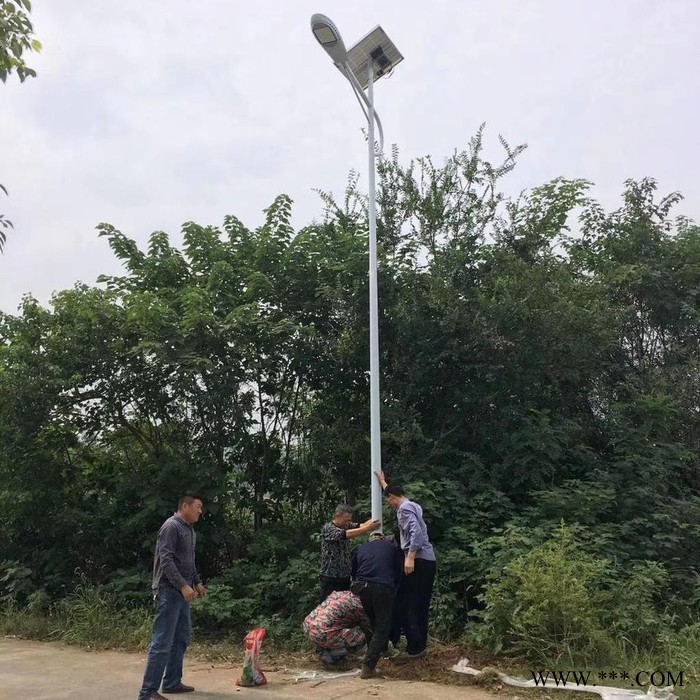 奮鈞TYN-011 太陽能路燈6米led鋰電池太陽能路燈30w瓦新農村鄉村小路道路燈戶外5米7米量大從優