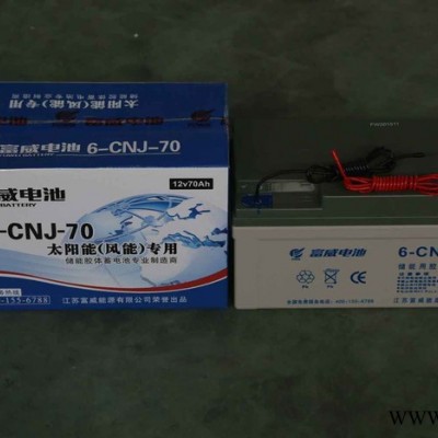 太陽能路燈儲能膠體蓄電池6-CNJ-70蓄電池