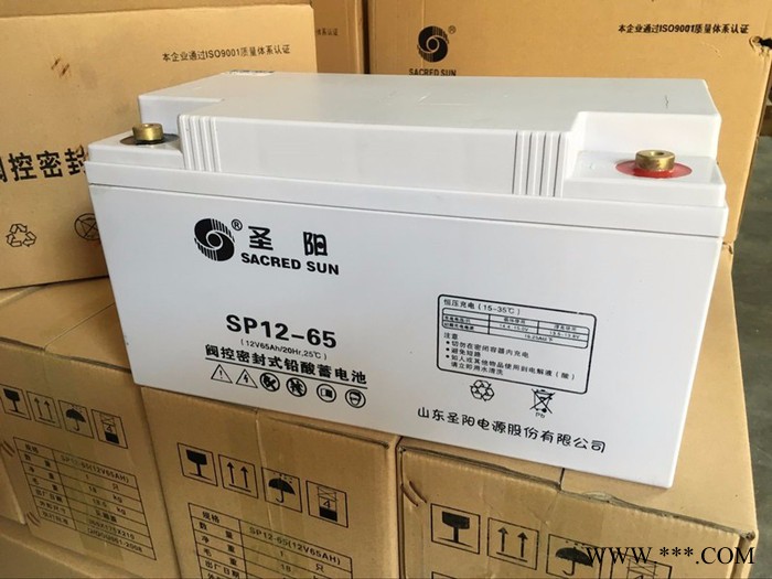 圣陽SP12-65 UPS蓄電池 太陽能蓄電池