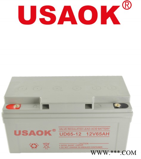 USAOK12V65AH鉛酸免維護蓄電池 太陽能系統 監控專用 UPS專用