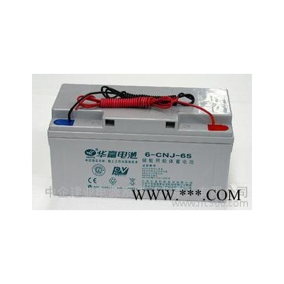 直銷 華富蓄電池太陽能膠體蓄電池12V-65AH四川 參數