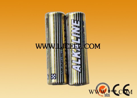 供應羅珈CP-P2廠家供應鋰錳電池柱CP-P2