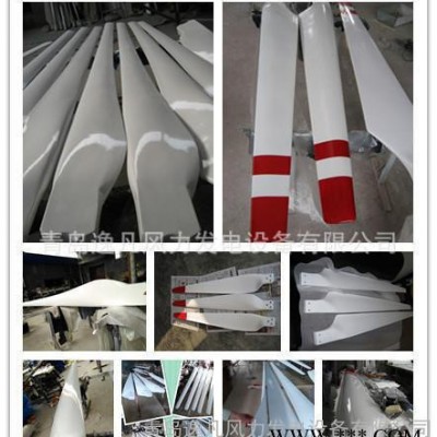 **100W--100Kw風(fēng)力發(fā)電機(jī)葉片，玻璃鋼風(fēng)葉，