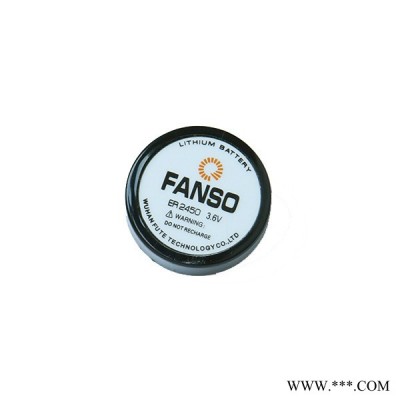 供應孚安特ER2450,專業生產汽車胎壓監測系統電池ER2450,500mah鋰亞電池