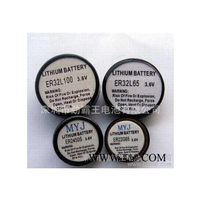 鋰亞電池ER32L065、  1/10D 輪胎壓力檢測系統