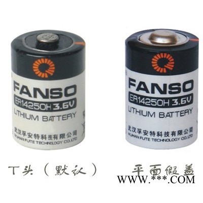 供應孚安特ER14250H能量型鋰亞電池 電表 ETC 等專用鋰電池