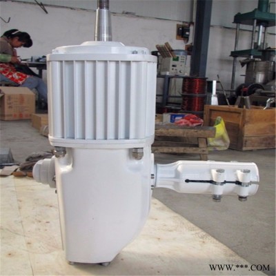 晟成FD-5KW 風(fēng)力發(fā)電機(jī) 小型家用風(fēng)力發(fā)電機(jī) 長期免費(fèi)提供技術(shù)咨詢