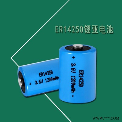 ER14250，鋰亞電池，3.6V鋰亞電池，鋰金屬14250電池，ER14250鋰亞電池