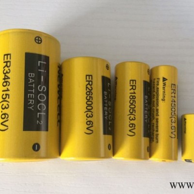 NEWCELLER34615 鋰電池 大容量鋰亞電池 ** 可搭配復合超容電池 智能儀器儀器電源