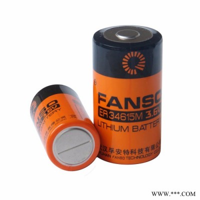 孚安特ER34615M,FANSO一次鋰電池,智慧城市專案鋰電池,車輛GPS用電池,1號鋰亞電池