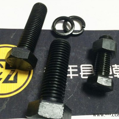 低價爆款：風力發電設施專用高強度外六角螺栓M16*60 螺母