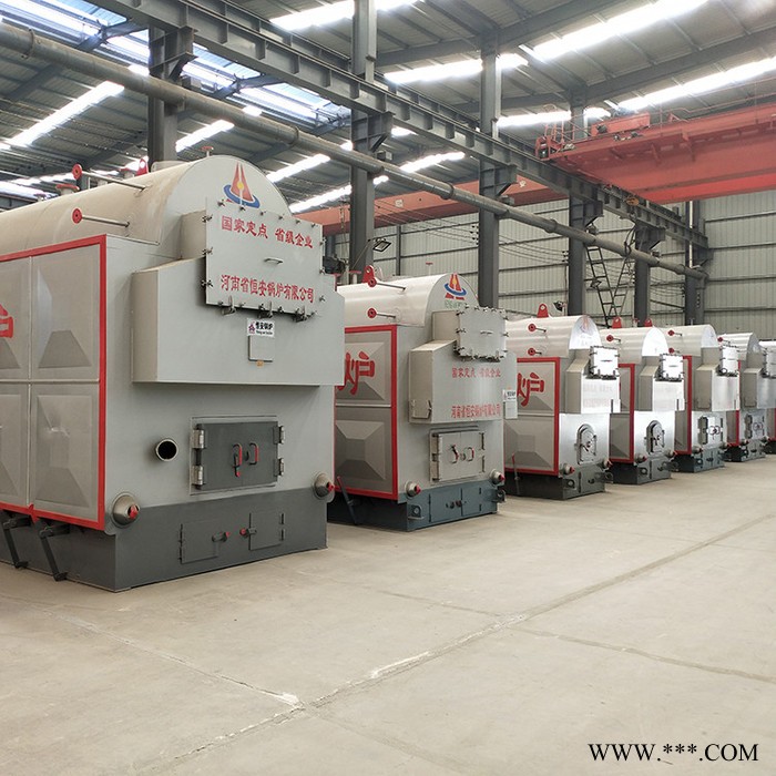 恒信鍋爐  生物質蒸汽鍋爐  生物質鍋爐 鍋爐 廠家供應，歡迎訂購