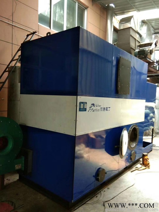 藍色馬丁FWHS-0.36-SW 生物質鍋爐