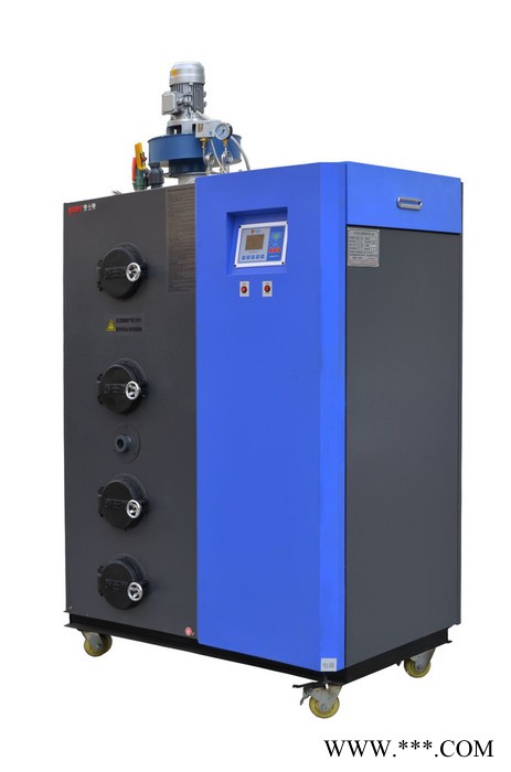 勞士特生物質鍋爐 生物質鍋爐蒸汽發生器150KG 蒸汽洗滌鍋爐  生物質顆粒鍋爐