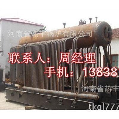 買生物質(zhì)鍋爐 熱豐鍋爐 DZL2-1.25-T 全自動(dòng)蒸汽