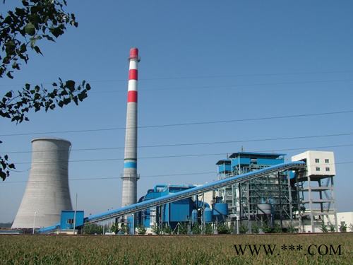 新型DHL含水生物質鍋爐DHL35-2.5-T