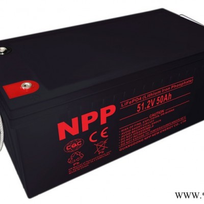 耐普   磷酸鐵鋰電池 磷酸鐵鋰電池價格  磷酸鐵鋰電池生產(chǎn)廠家