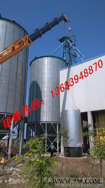 **河南浴池鍋爐，4噸生物質(zhì)鍋爐，80萬大卡導熱油爐