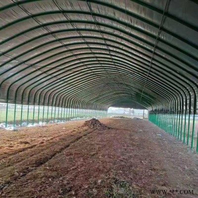 黔南 抗震可調節光伏支架大棚溫室