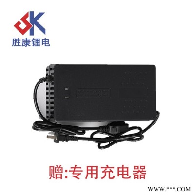 濟(jì)南勝康 48V20AH 折疊車 代駕車 外賣車 平衡車 鋰電池 超長(zhǎng)續(xù)航 **支持定制