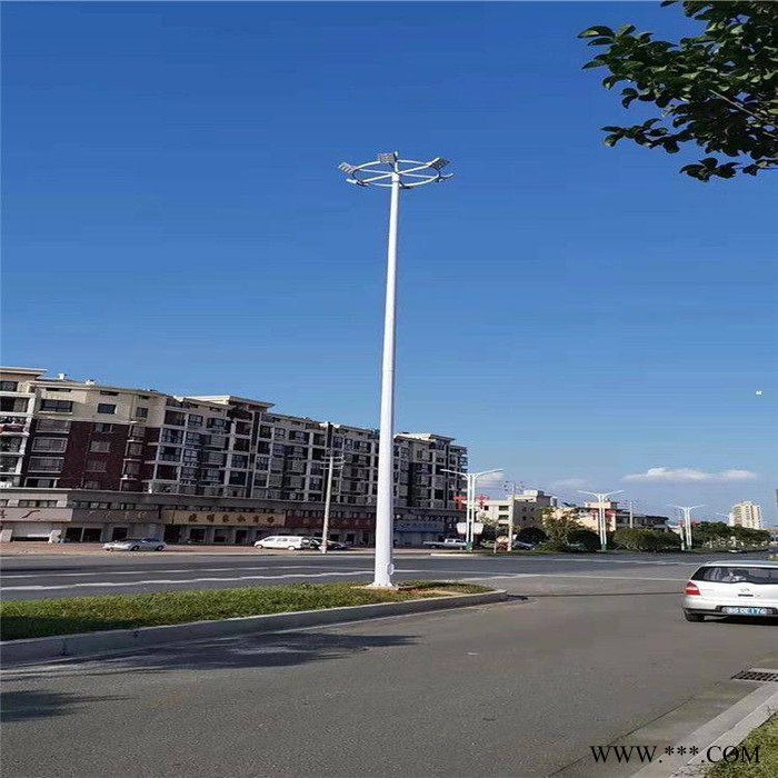 太陽能路燈廠家 景觀燈 農景觀燈廠家 鋰電池6米太陽能路燈 太陽能路燈