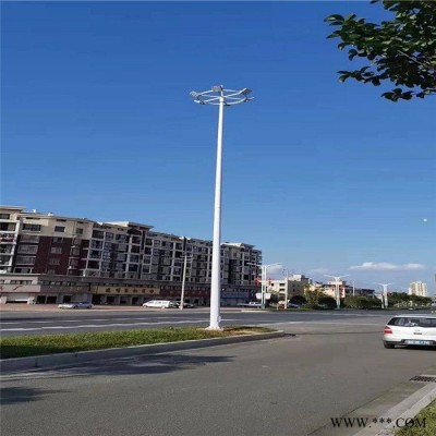 太陽能路燈廠家 景觀燈 農景觀燈廠家 鋰電池6米太陽能路燈 太陽能路燈