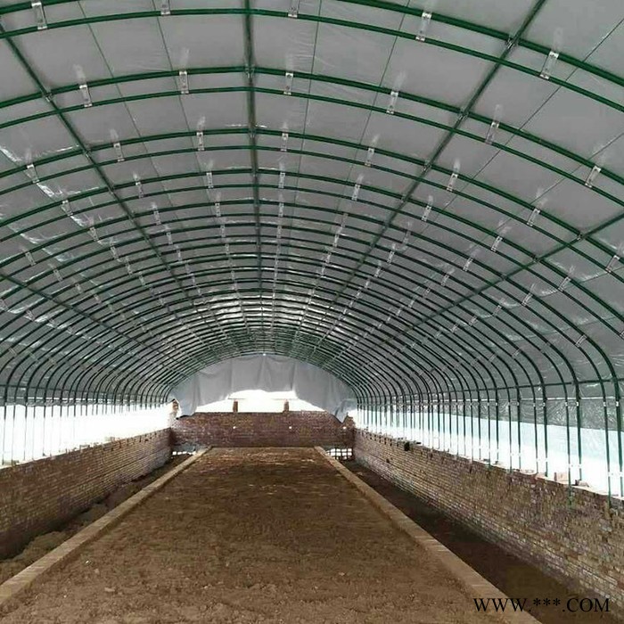 全國可定制安裝養(yǎng)殖大棚 養(yǎng)魚大棚光伏大棚玻璃溫室大棚