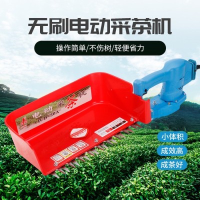 現貨鋰電池采茶機 12安時采茶機廠家