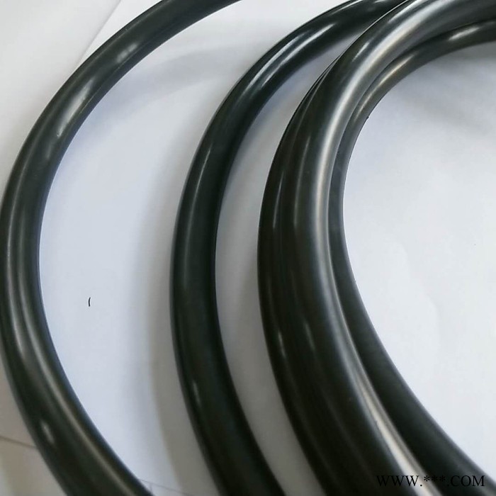 NER 廠家大量供應 硅膠條密封條橡膠密封條光伏真空爐硅膠條 氟膠條