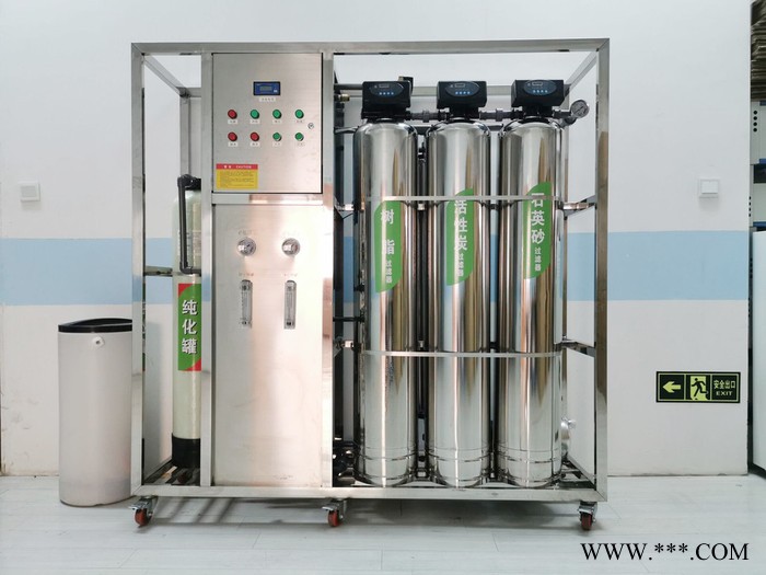 0.5-2T/H反滲透水設備 雙級反滲透設備 鋰電池生產用超純水設 超純水設備