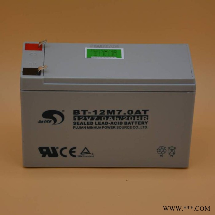 賽特蓄電池BT-12M33AC 12V33AH/20HR直流屏UPS電源電池 EPS電池 太陽能光伏發電電池