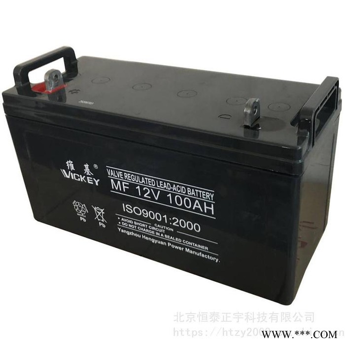 維基蓄電池MF12V200AH 12V200AH光伏發電 電廠消防設備 機房配電室 UPS電源電池 EPS直流屏蓄電池